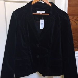 Black velvet LOFT jacket